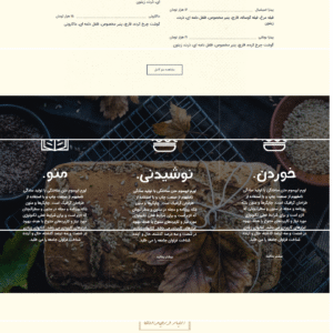 سایت آماده رستوران و کافیشاپ